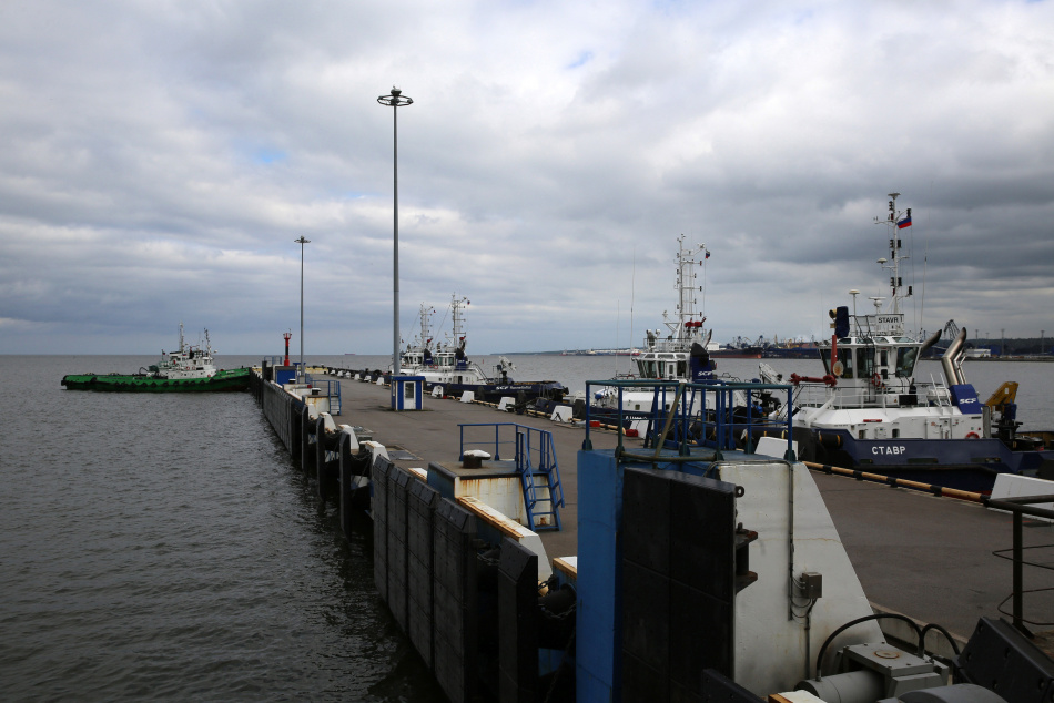 Агробизнес Ленобласти оценил инновации Port Favor в Усть-Луге на промышленном туре